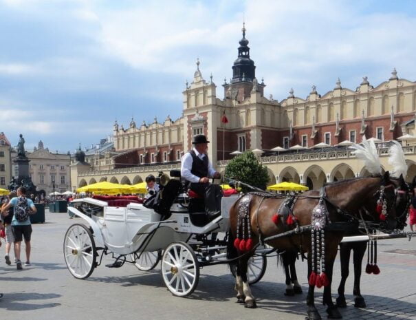 Krakow city tour